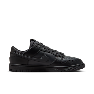 ナイキ ダンク LOW GORE-TEX[HQ2053-001]の商品画像(3枚目)